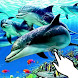 Magic touch:Beautiful dolphins
