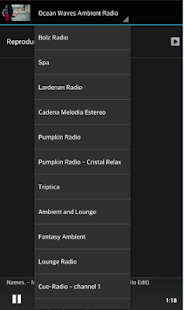Ambient Music Radio(圖3)-速報App