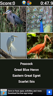 How to install Animal Quiz 3.2 apk for android