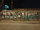 Graffiti Calavera 