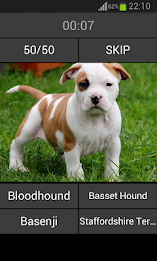 Guess the puppy poster 2