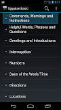 Egyptian Basic Phrases - Works offline
