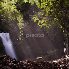 Sekar Langit, Middle Java, Indonesia by Toto Pandito - Landscapes Forests