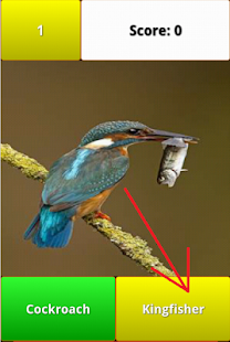 Free Download I Know Animal APK