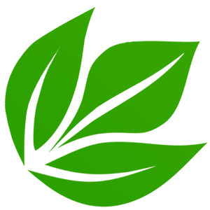 Belajar Membuat Website 1.0