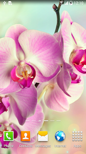 Orchids Wallpaper(圖3)-速報App