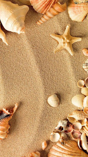 Sea Shell Live Wallpaper(圖4)-速報App