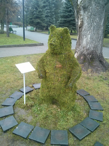Зеленый Медведь