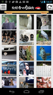 暇人専用 旬の面白ネタ・猫・犬画像まとめアプリ ねたっぷる(圖2)-速報App
