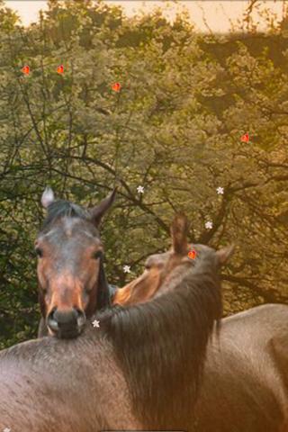 Horse Love Spring Plum Rain