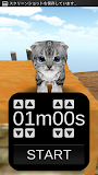 Cat Timer