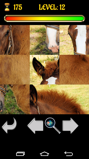 免費下載教育APP|Puzzle Horses 2015 app開箱文|APP開箱王