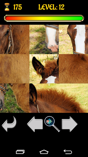 【免費教育App】Puzzle Horses 2015-APP點子