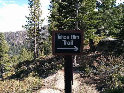 Tahoe Rim Trail 
