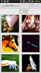 Learn Korean with WordPic(圖4)-速報App