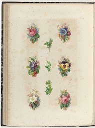 Negen poëzieplaatjes met bloemen en planten