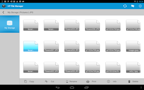 download HP File Manager free