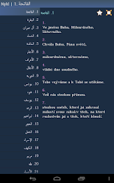 Quran in Czech poster 12