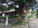 Kinjo-cho Stone Pavement Rest House