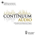 Continuum Audio logo