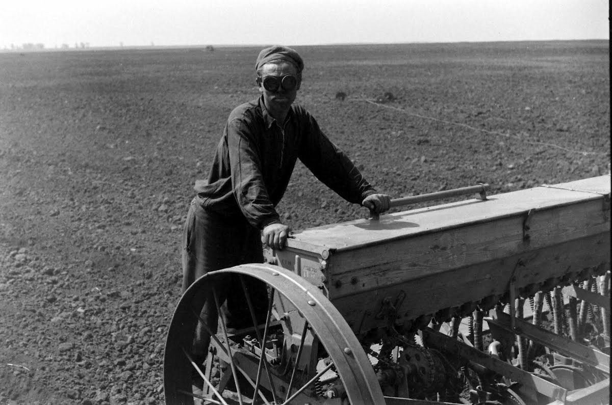 Soviet Union Virgin Lands "Breadbasket" Story Filmed In Area Of