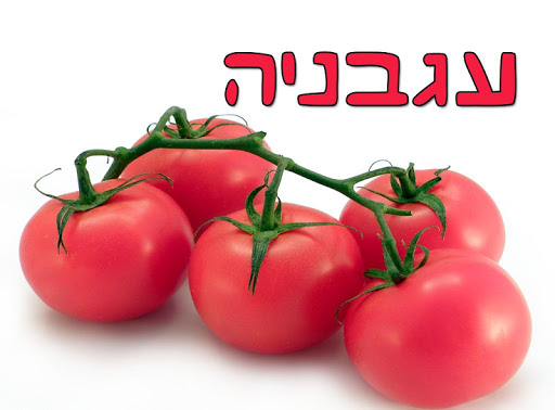 【免費教育App】טבע בתמונות - גרסא חינמית-APP點子