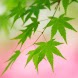 Japanese Style