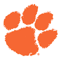 TigerRag logo