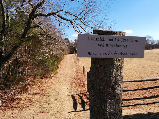 Dimmick Field & Tree Farm Wildlife Habitat