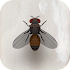 CAT ALONE - Cat Toy2.7.7