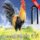 เกมจับคู่ ก ไก่ สำหรับเด็กเด็ก APK