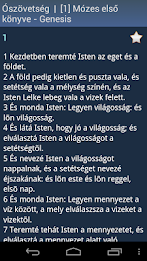 Hungarian Holy Bible poster 3