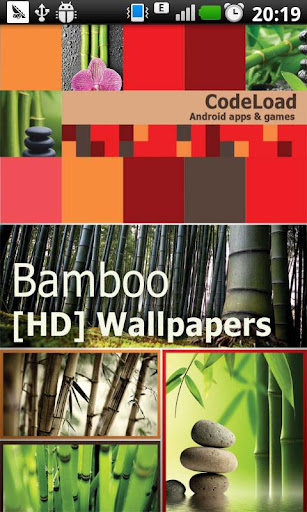 Bamboo [HD] Wallpapers