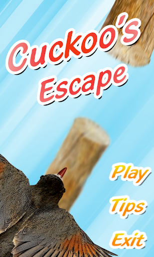Cuckoo Escape