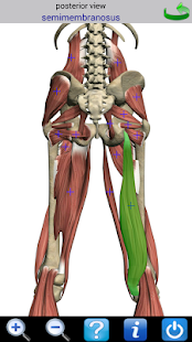 Visual Anatomy 2 Screen 3