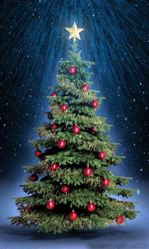 Christmas Live Wallpaper Screen 1