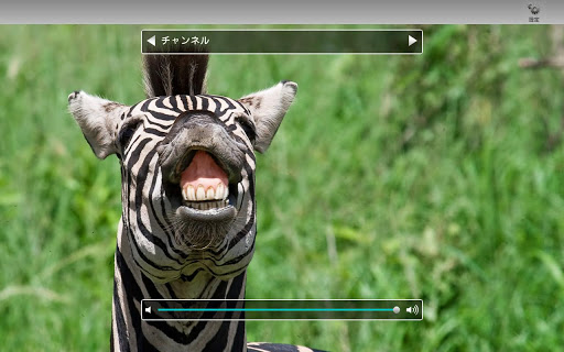 地デジviewer B版 Pc ダウンロード オン Windows 10 8 7 21 版