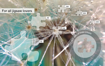 Jigsaw Puzzles: Raindrops poster 2