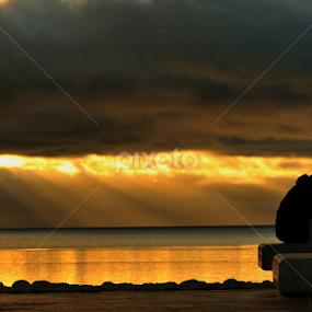 O amor cura as pessoas tanto as que o recebem quanto as que o dão.(Dr. Karl Menninger) by Joaquim Martins Araujo - City,  Street & Park Street Scenes