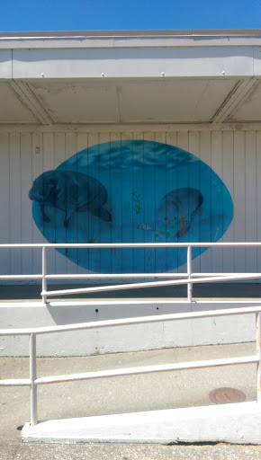 Old Whale Mural