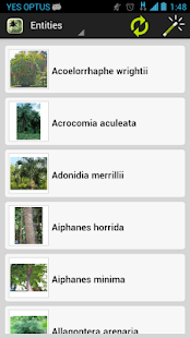 Palm ID Key(圖3)-速報App