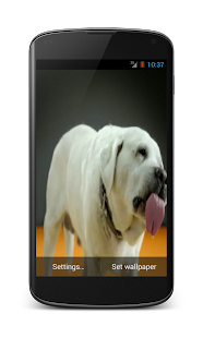 Free Download Labrador Licks Screen LWP APK for PC