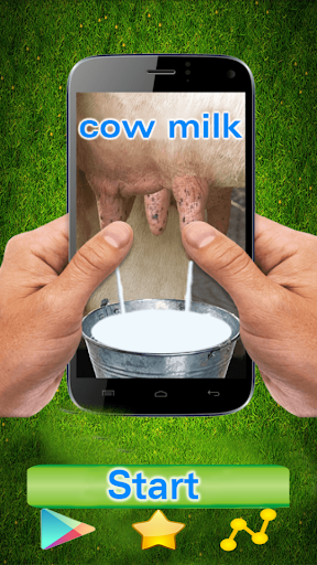 Cow Milk