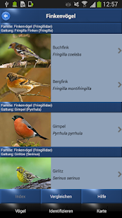 Vogel Id Schweiz - Gartenvögel identifizieren(圖3)-速報App