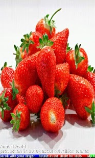 Fruits and Berries 2 FREE - náhled