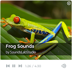 Cover Image of ダウンロード Frog Sounds 1.5.0 APK