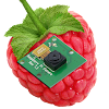 RaspberryPi Camera Viewer