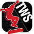 Transworld Endless Skater1.65