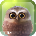 Little Owl Lite mobile app icon