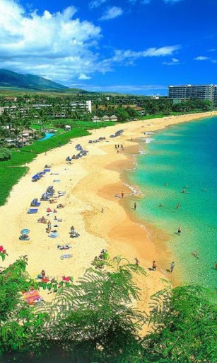 免費娛樂App|300 Amazing Beach Pictures HD|阿達玩APP